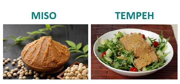 lista-alimentos-probioticos-miso-tempeh