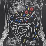La importancia del intestino y la alimentación en tu salud