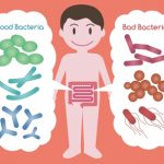 Motivos y Claves para tomar alimentos probióticos a diario