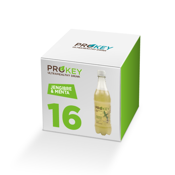 Prokey menta jengibre refresco kefir agua caja 16