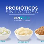 3 Alimentos Probióticos Sin Lactosa que te Gustarán. Garantizado
