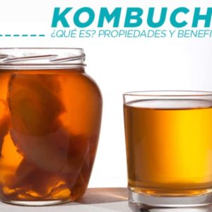 ¿Qué es la Kombucha? ¿Cuáles son sus propiedades y beneficios?