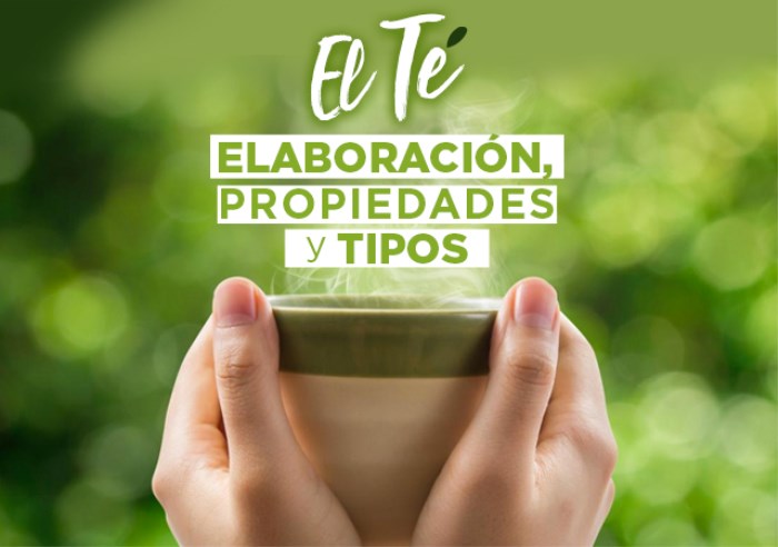 Read more about the article El Té y la Kombucha: Elaboración, Propiedades y Tipos.