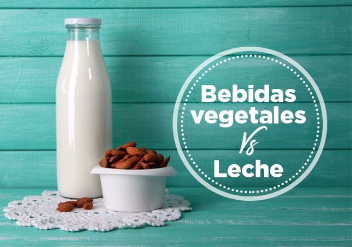 Read more about the article Bebidas Vegetales VS. Leche y 3 Recetas para Prepararlas en Casa