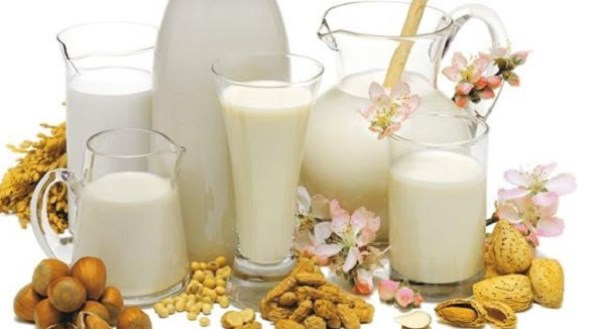 Bebidas vegetales Vs leche
