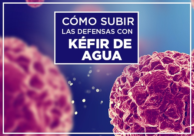 Read more about the article Cómo subir las defensas con kéfir de agua. Comprobado