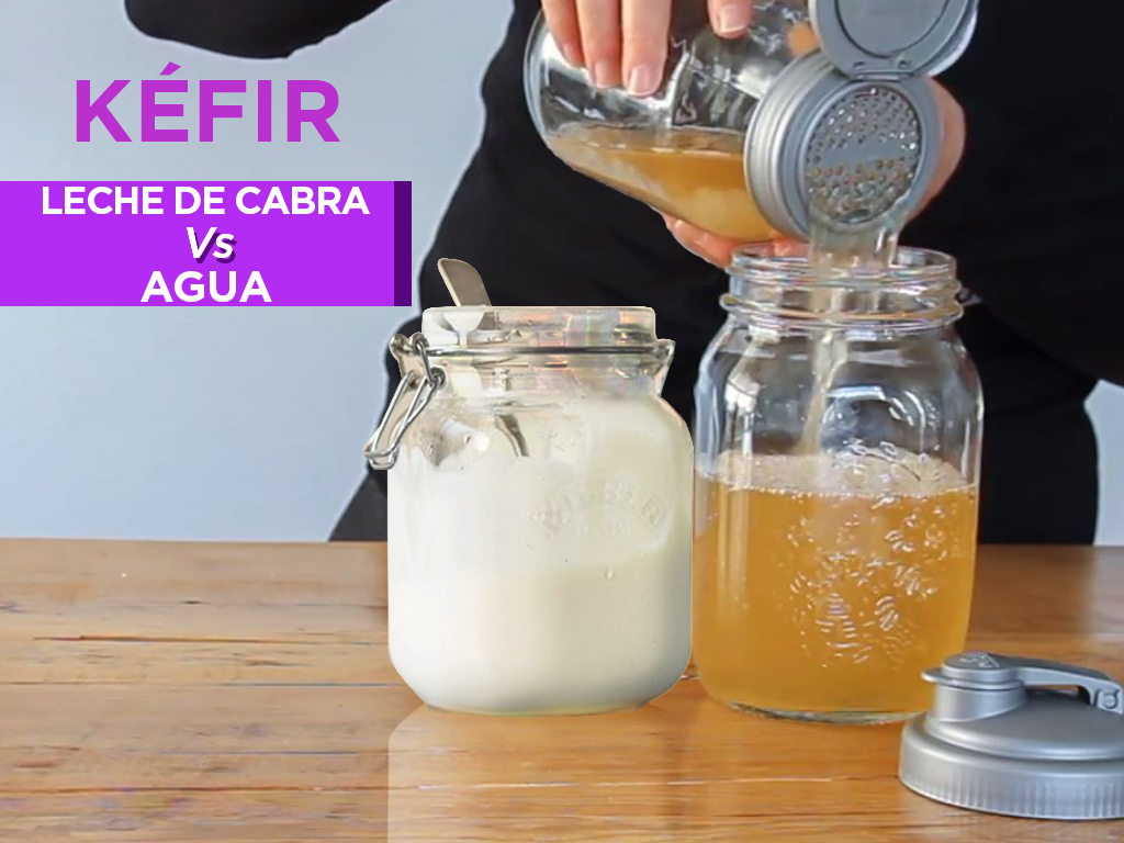 Read more about the article Kéfir de leche de cabra vs Kéfir de agua