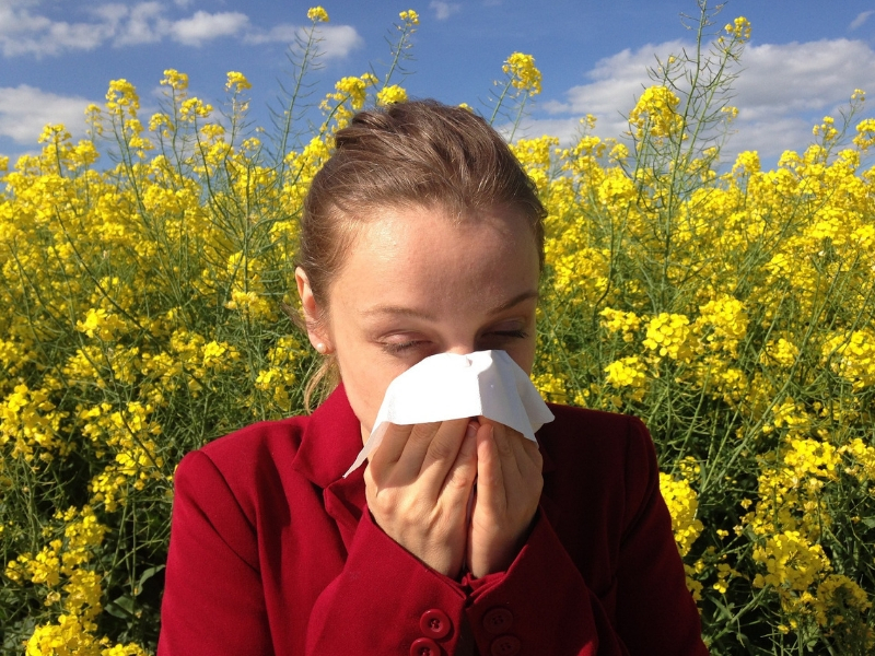 Cómo ayudan los probióticos con las alergias