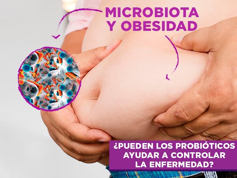 Read more about the article Microbiota y obesidad. ¿Pueden los probióticos ayudar a controlar la enfermedad?