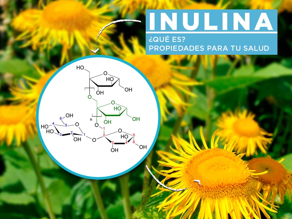 Propiedades de la inulina