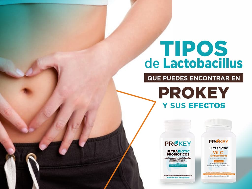 Read more about the article Tipos de lactobacillus que puedes encontrar en prokey y sus efectos