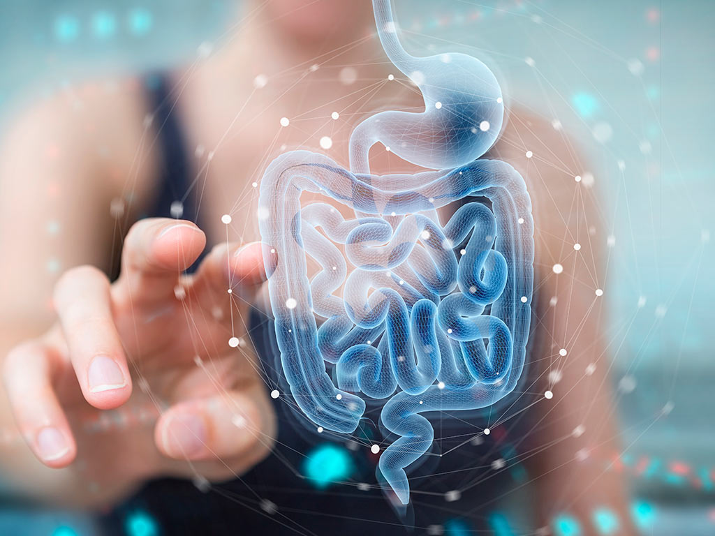 Read more about the article ¿Qué es la microbiota intestinal? ¿Cómo se regula y mejora?